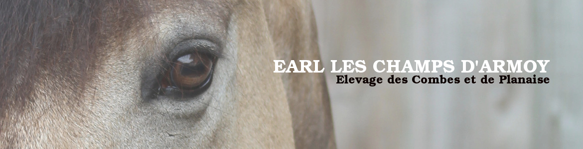 EARL LES CHAMPS D'ARMOY